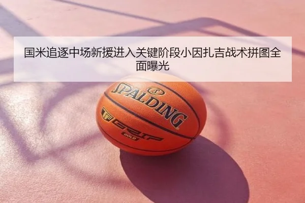 国米追逐中场新援进入关键阶段小因扎吉战术拼图全面曝光